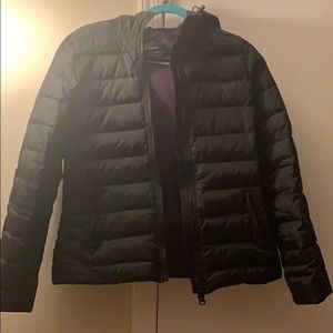 American Eagle Outfitters Winter Jacket